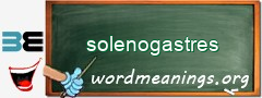 WordMeaning blackboard for solenogastres